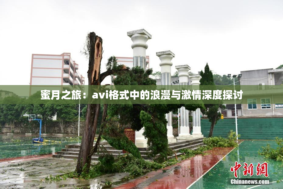 蜜月之旅：avi格式中的浪漫与激情深度探讨