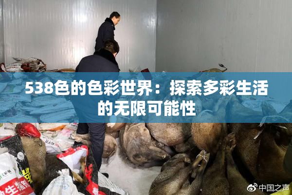 538色的色彩世界：探索多彩生活的无限可能性