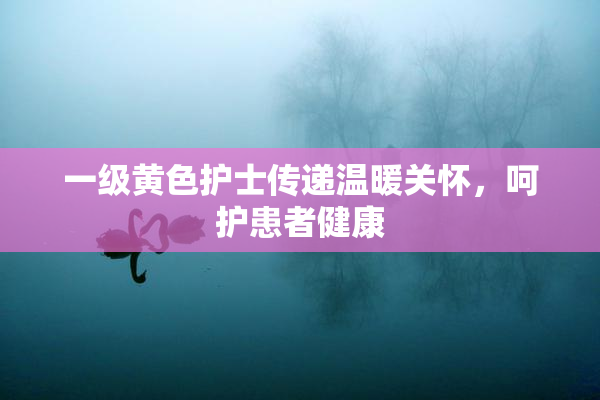 一级黄色护士传递温暖关怀，呵护患者健康