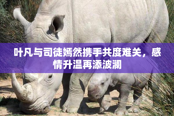 叶凡与司徒嫣然携手共度难关，感情升温再添波澜