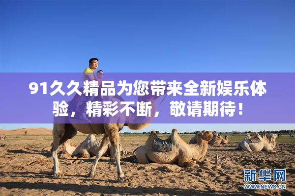 91久久精品为您带来全新娱乐体验，精彩不断，敬请期待！