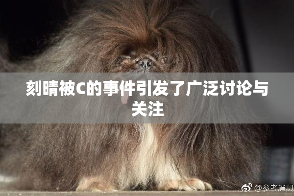 刻晴被C的事件引发了广泛讨论与关注