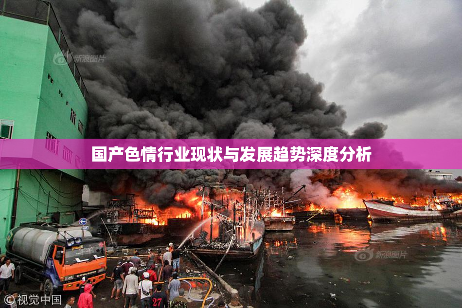 国产色情行业现状与发展趋势深度分析