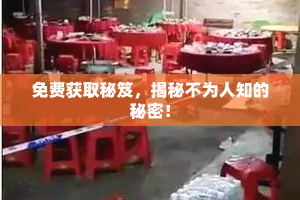 免费获取秘笈，揭秘不为人知的秘密！
