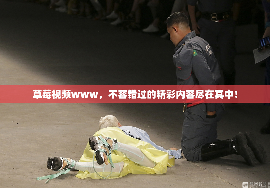 草莓视频www，不容错过的精彩内容尽在其中！