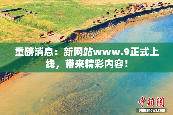 重磅消息：新网站www.9正式上线，带来精彩内容！