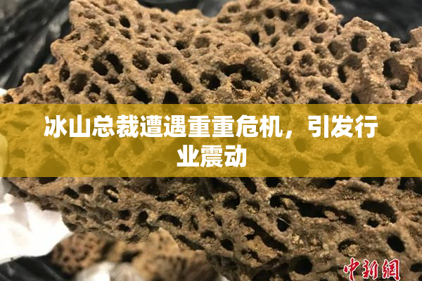 冰山总裁遭遇重重危机，引发行业震动