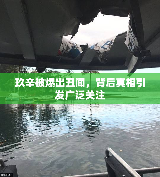 玖辛被爆出丑闻，背后真相引发广泛关注