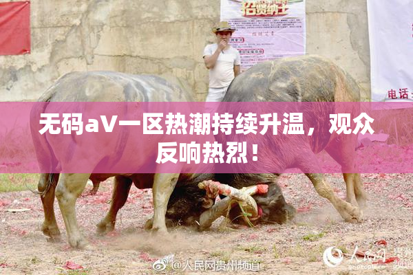 无码aV一区热潮持续升温，观众反响热烈！