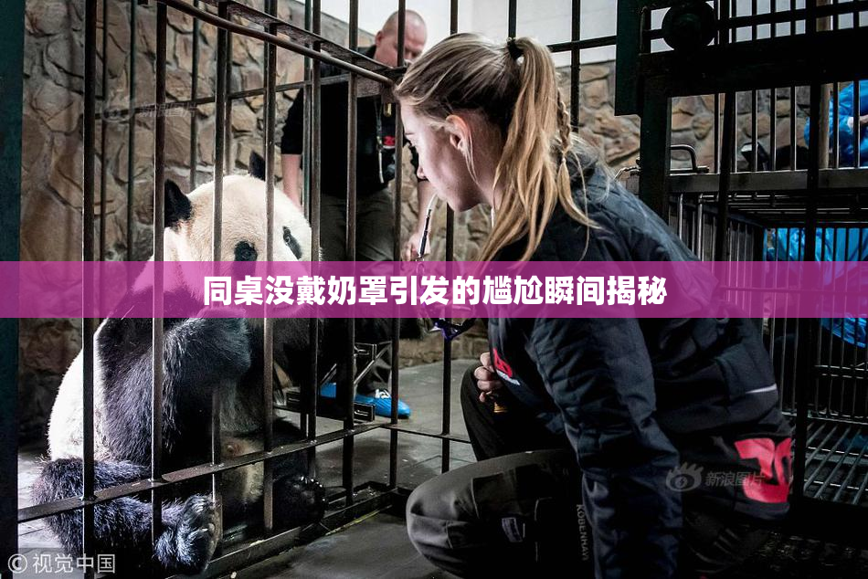 同桌没戴奶罩引发的尴尬瞬间揭秘
