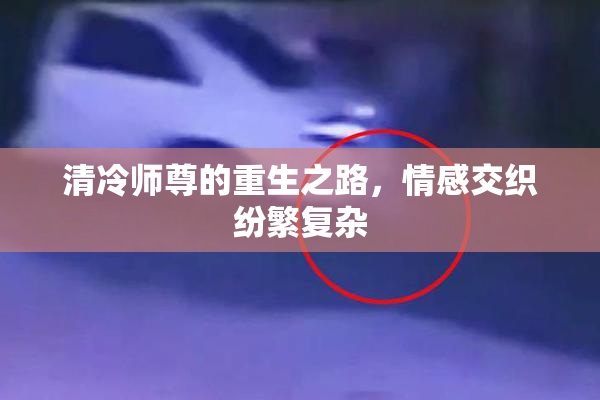 清冷师尊的重生之路，情感交织纷繁复杂