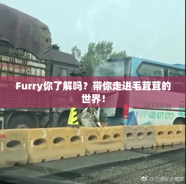 Furry你了解吗？带你走进毛茸茸的世界！