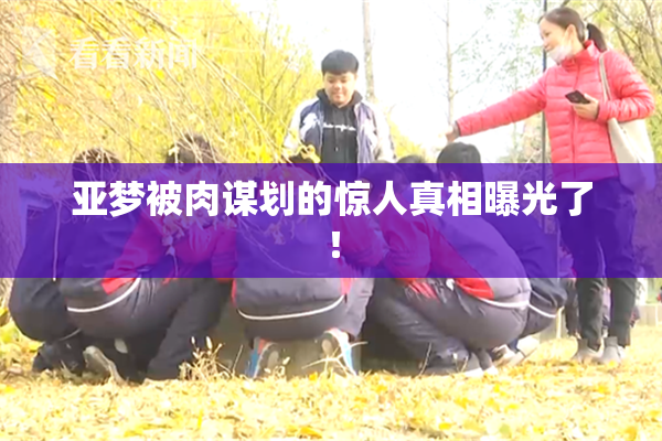 亚梦被肉谋划的惊人真相曝光了！