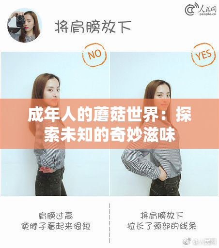 成年人的蘑菇世界：探索未知的奇妙滋味