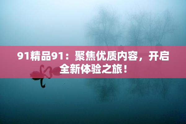 91精品91：聚焦优质内容，开启全新体验之旅！