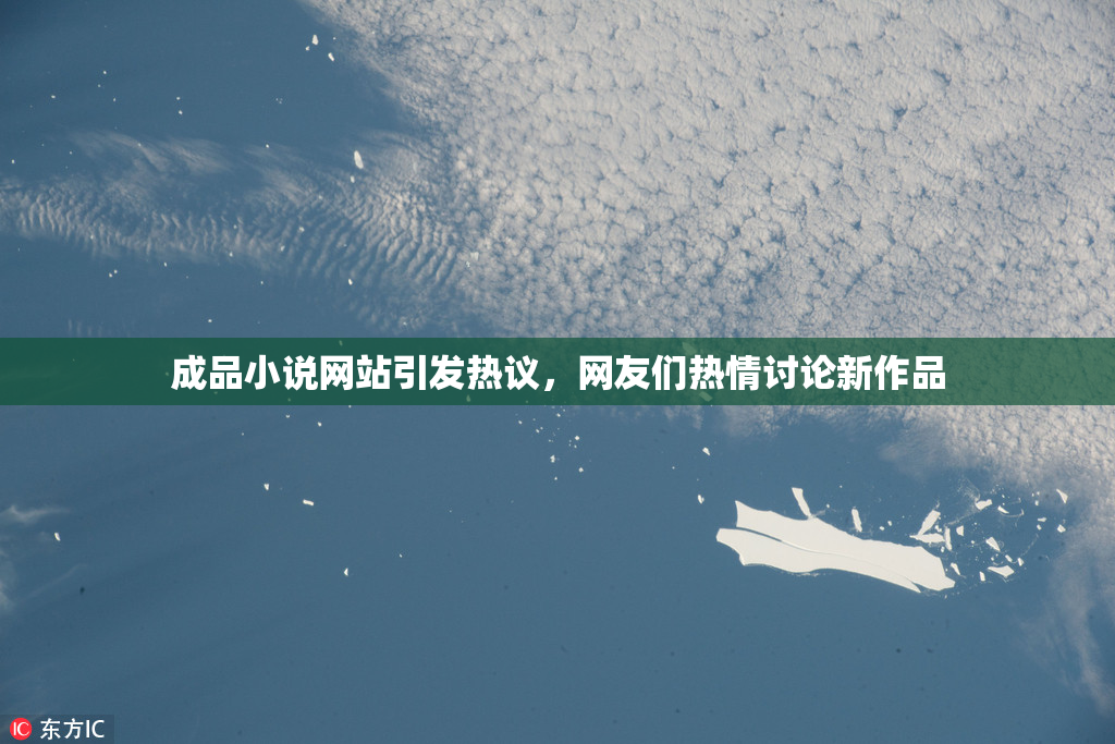 成品小说网站引发热议，网友们热情讨论新作品