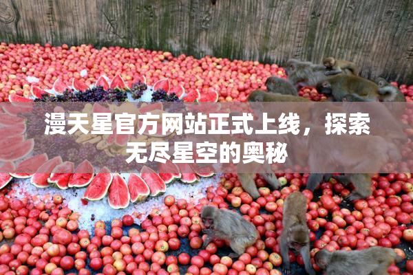 漫天星官方网站正式上线，探索无尽星空的奥秘