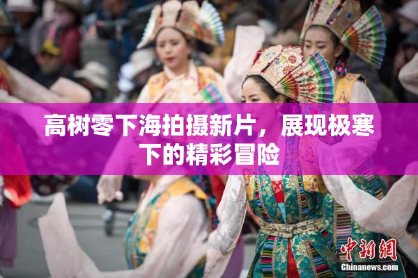 高树零下海拍摄新片，展现极寒下的精彩冒险