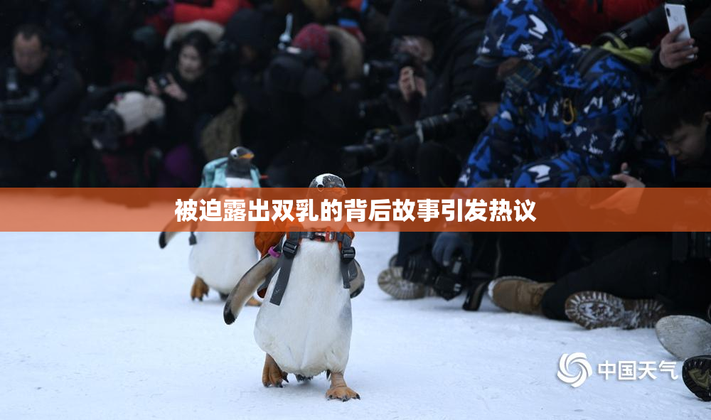 被迫露出双乳的背后故事引发热议