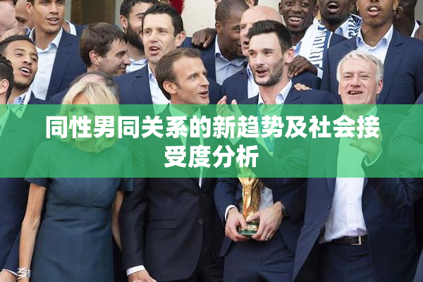 同性男同关系的新趋势及社会接受度分析
