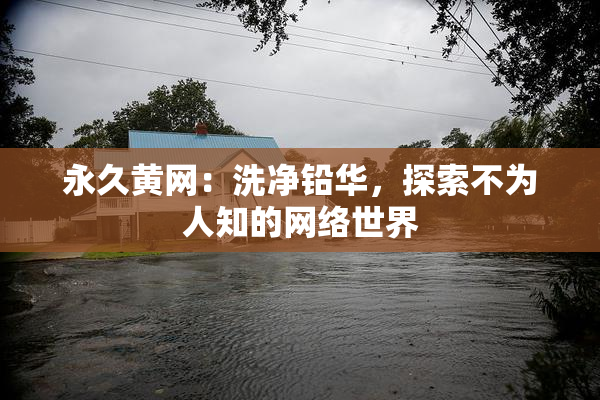 永久黄网：洗净铅华，探索不为人知的网络世界