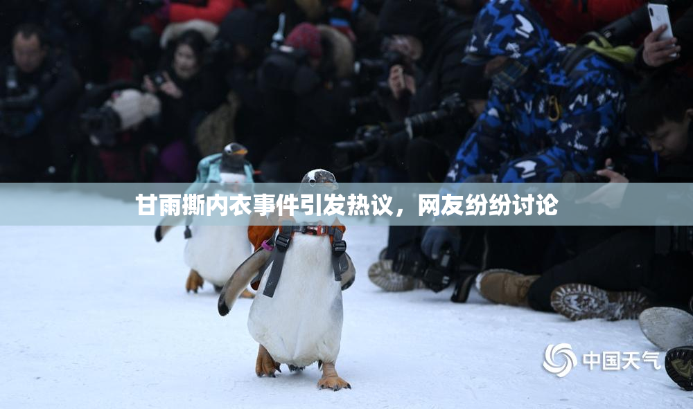 甘雨撕内衣事件引发热议，网友纷纷讨论