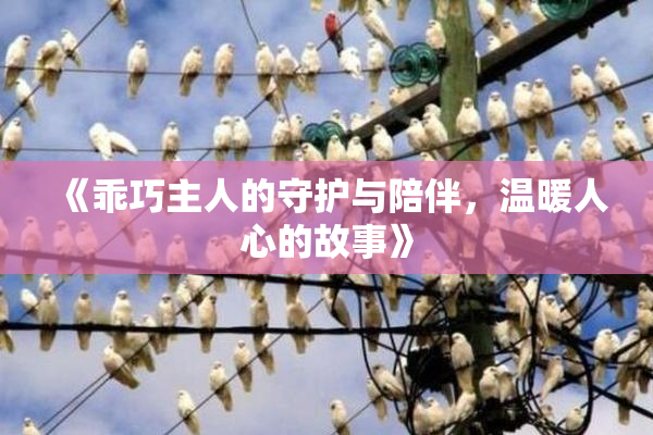 《乖巧主人的守护与陪伴，温暖人心的故事》