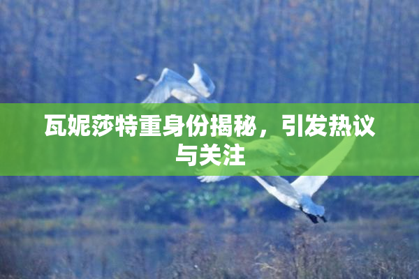 瓦妮莎特重身份揭秘，引发热议与关注