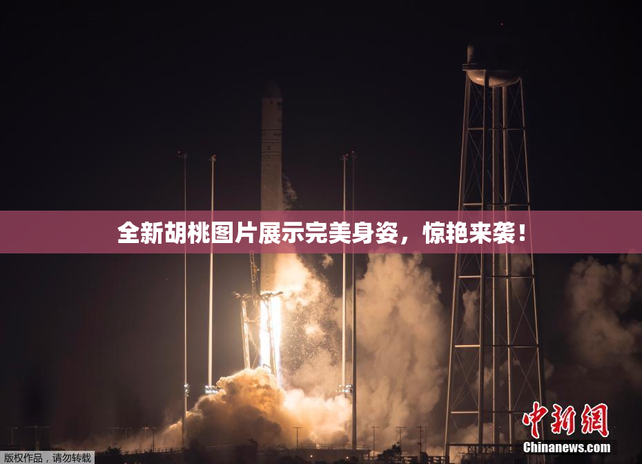 全新胡桃图片展示完美身姿，惊艳来袭！