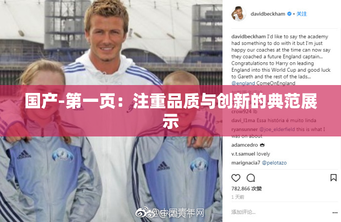 国产-第一页：注重品质与创新的典范展示