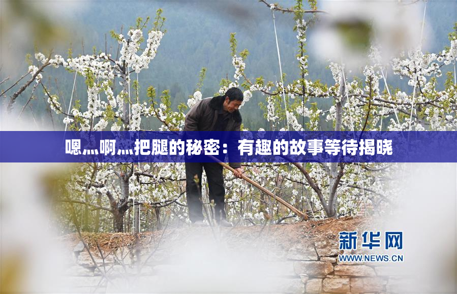 嗯灬啊灬把腿的秘密：有趣的故事等待揭晓