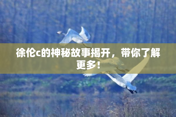 徐伦c的神秘故事揭开，带你了解更多！