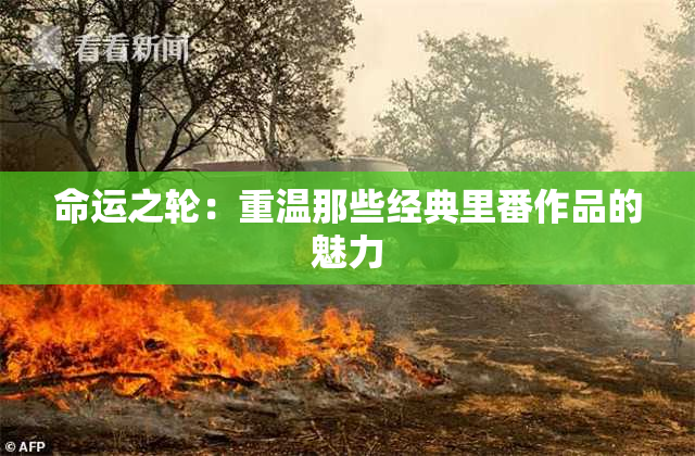 命运之轮：重温那些经典里番作品的魅力