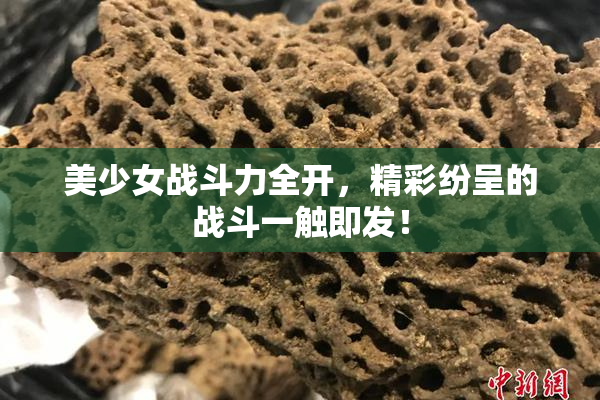 美少女战斗力全开，精彩纷呈的战斗一触即发！