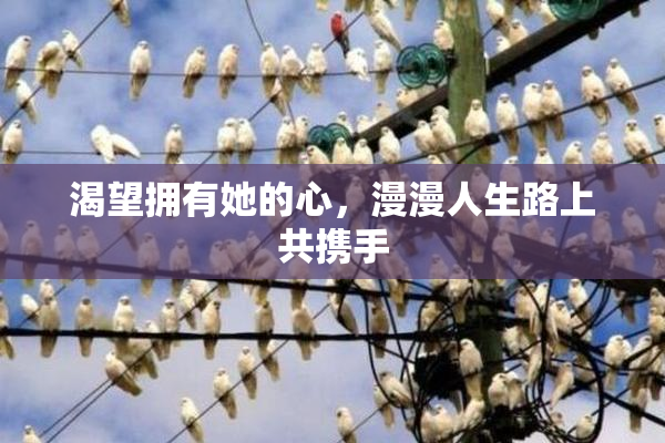 渴望拥有她的心，漫漫人生路上共携手