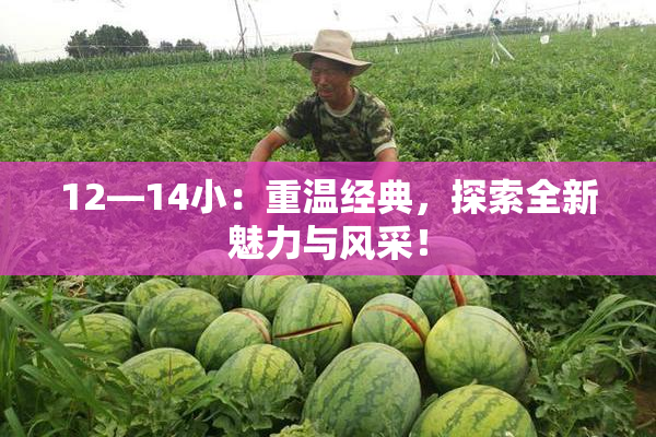 12—14小：重温经典，探索全新魅力与风采！