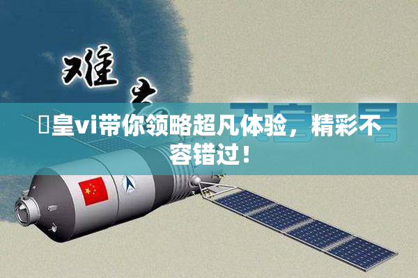 嘼皇vi带你领略超凡体验，精彩不容错过！