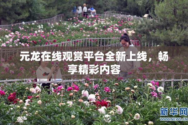 元龙在线观赏平台全新上线，畅享精彩内容