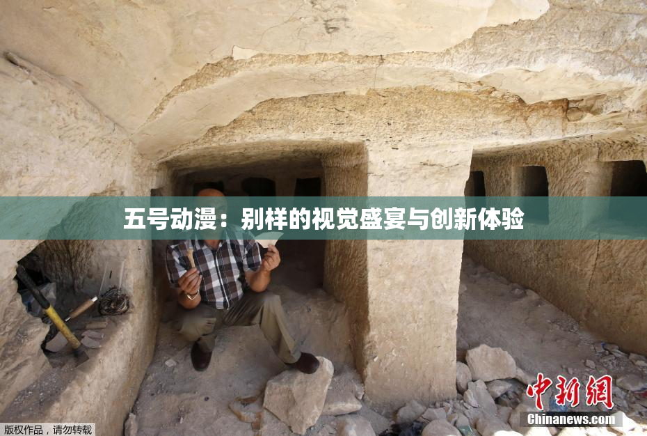 五号动漫：别样的视觉盛宴与创新体验