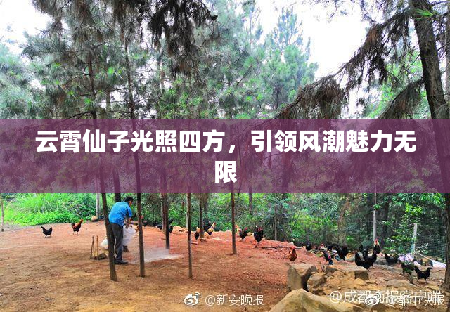 云霄仙子光照四方，引领风潮魅力无限