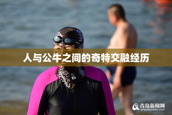 人与公牛之间的奇特交融经历
