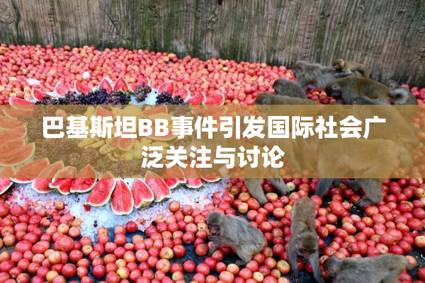 巴基斯坦BB事件引发国际社会广泛关注与讨论