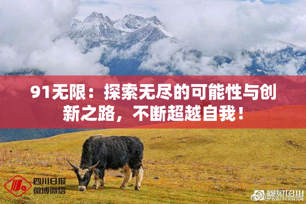 91无限：探索无尽的可能性与创新之路，不断超越自我！