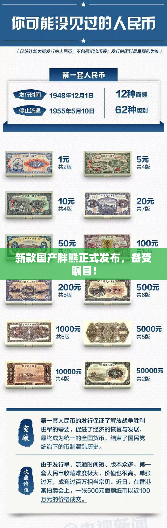 新款国产胖熊正式发布，备受瞩目！