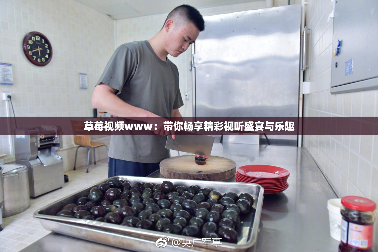 草莓视频www：带你畅享精彩视听盛宴与乐趣