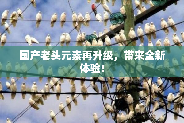 国产老头元素再升级，带来全新体验！