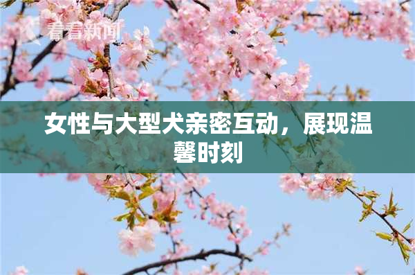 女性与大型犬亲密互动，展现温馨时刻