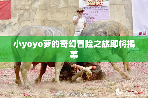 小yoyo萝的奇幻冒险之旅即将揭幕
