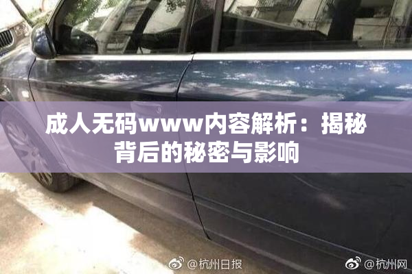成人无码www内容解析：揭秘背后的秘密与影响