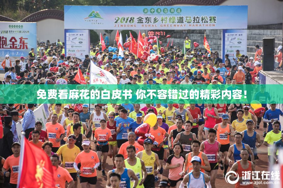 免费看麻花的白皮书 你不容错过的精彩内容！